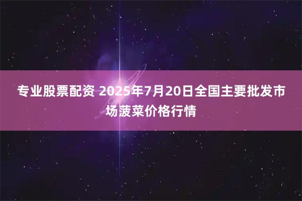 专业股票配资 2025年7月20日全国主要批发市场菠菜价格行情