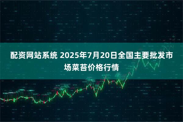 配资网站系统 2025年7月20日全国主要批发市场菜苔价格行情